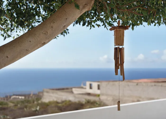 Pisaverde * Tacoronte